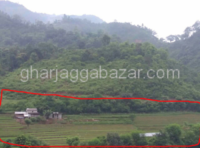 Land on Sale at Chalanghat Charaudi
